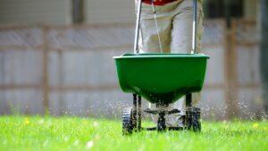 lawn fertilizer