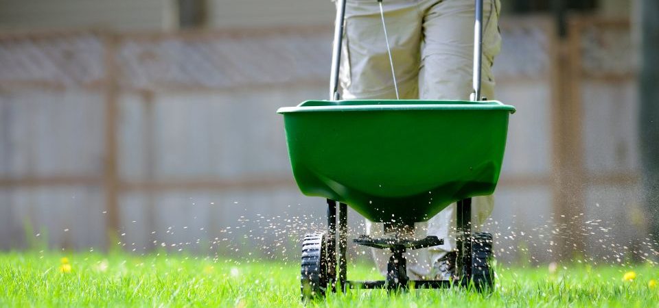 lawn fertilizer